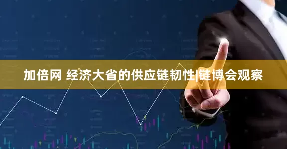 加倍网 经济大省的供应链韧性|链博会观察