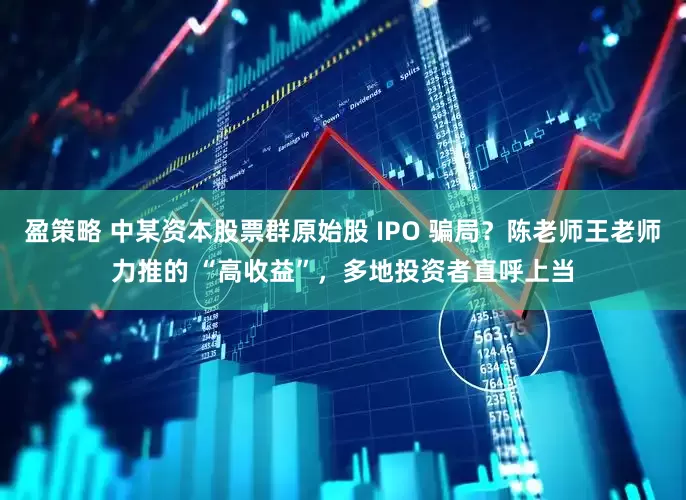 盈策略 中某资本股票群原始股 IPO 骗局？陈老师王老师力推的 “高收益”，多地投资者直呼上当