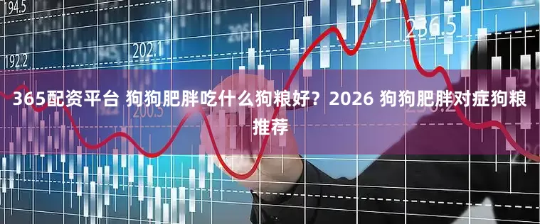 365配资平台 狗狗肥胖吃什么狗粮好?2026 狗狗肥胖对症狗粮推荐